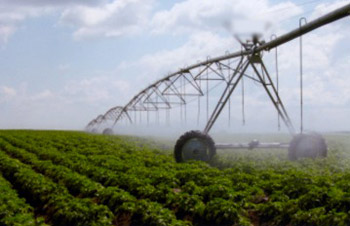 irrigation problems